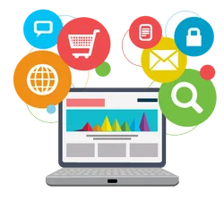Professional Website Design