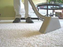 Carpet Shampooing Cleaning Service