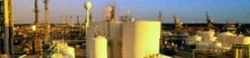 Agro Chemicals