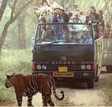 Bhadra Wildlife Sanctuary Tours