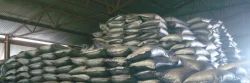 Anthracite Coals