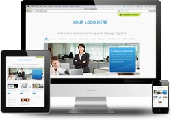 Wordpress Themes Development Service