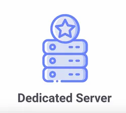 Dedicated Hosting Services