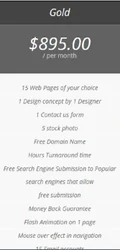 Gold Website Design Packages