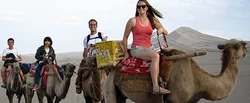 Group Tour Packages