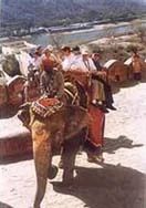 Adventure Tour Programmes