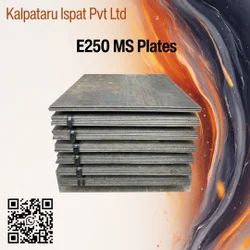 14mm HR MS E250Br Plate
