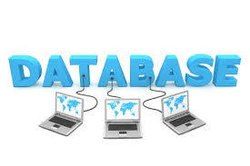 Database Development