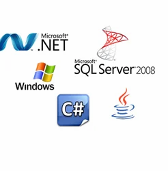 Custom Application Service