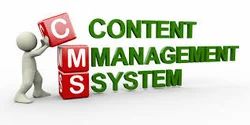 Custom CMS Development