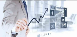 CSMS Software Development Service