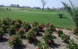 Landscape & Gardening Service