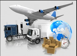 Packers And Movers  Services