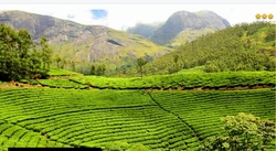 Kerala Tour Package