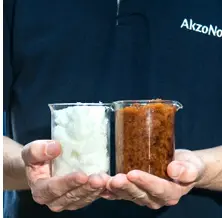Complete Bleach Plant
