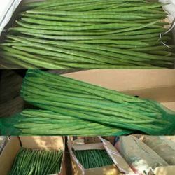 Drumstick Vegetable