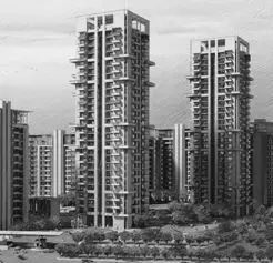 Commercial Building Construction Service