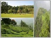 2 Days Package to Ooty Coonoor