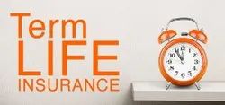 Term Insurance Service