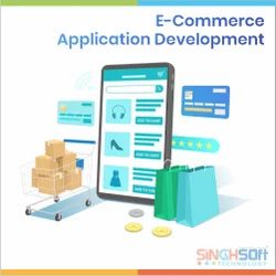 Ecommerce Software Development Service