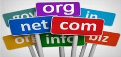 Domain Registration