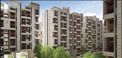 Residential Building Development Service