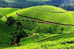 3 Nights & 4 Days at Munnar Tour Package