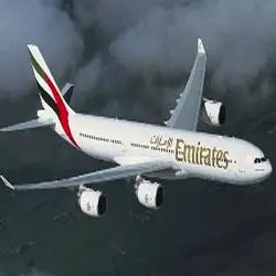 Air Freight Services