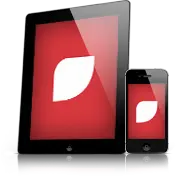 Mobile Website