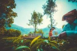 Outdoor Photography
