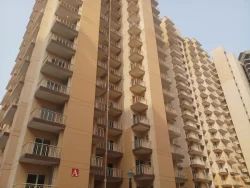 Flats/Apartments