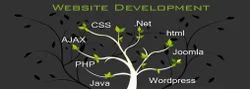 Website Development Service