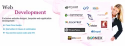 Dynamic Website Design Services