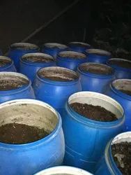 Soil Black Vermicompost