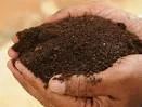 Organeem - Organic Manure