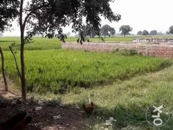 Residential Property For Sale