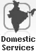 Domestic Services