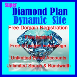 Website in just Rs.2999/-