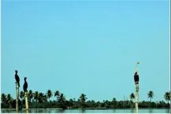 Kerala Honeymoon Tour Package Romantic Honeymoon / 7 Days/6 Nights