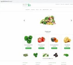e commerce website design