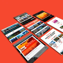 Website Design and Development