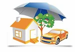 Non Life Insurance