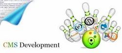 CMS Web Development