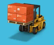 Custom Clearing Services