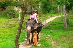 Kerala Family Tour Package For 7 Days