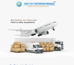 Courier to USA from India