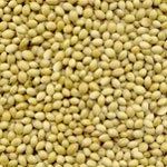 Coriander Seeds
