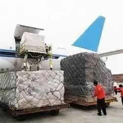 Exim Cargo Service