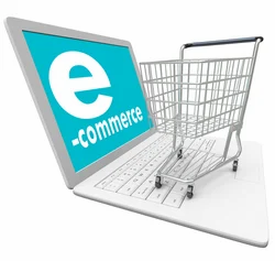 Ecommerce Website