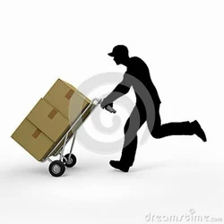 Air Courier Services